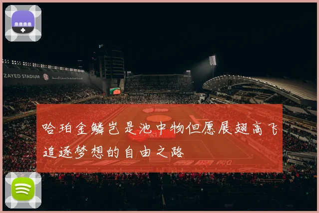 哈珀金鳞岂是池中物但愿展翅高飞追逐梦想的自由之路